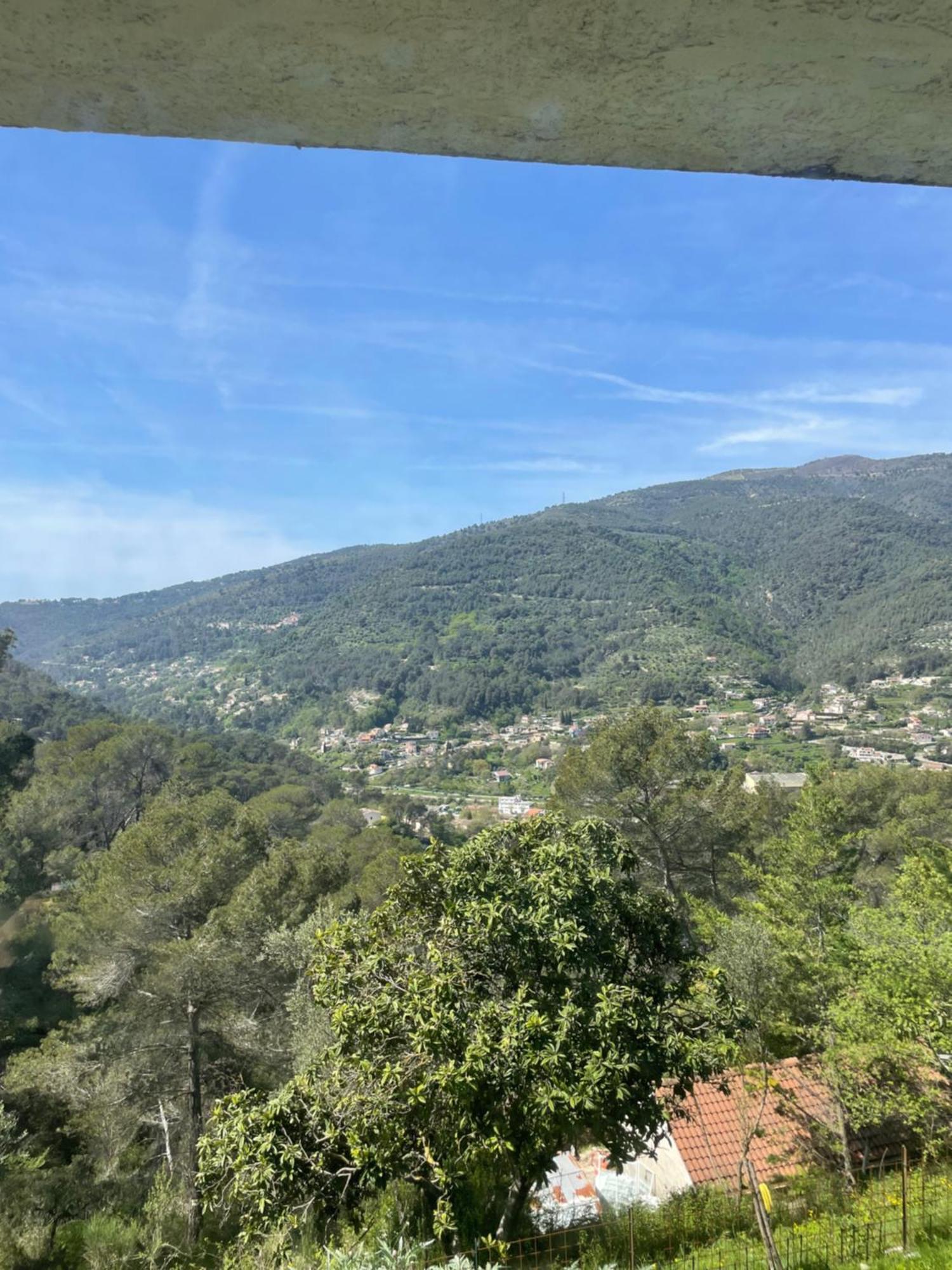 Charme Provencal Pres De Nice Blausasc Esterno foto